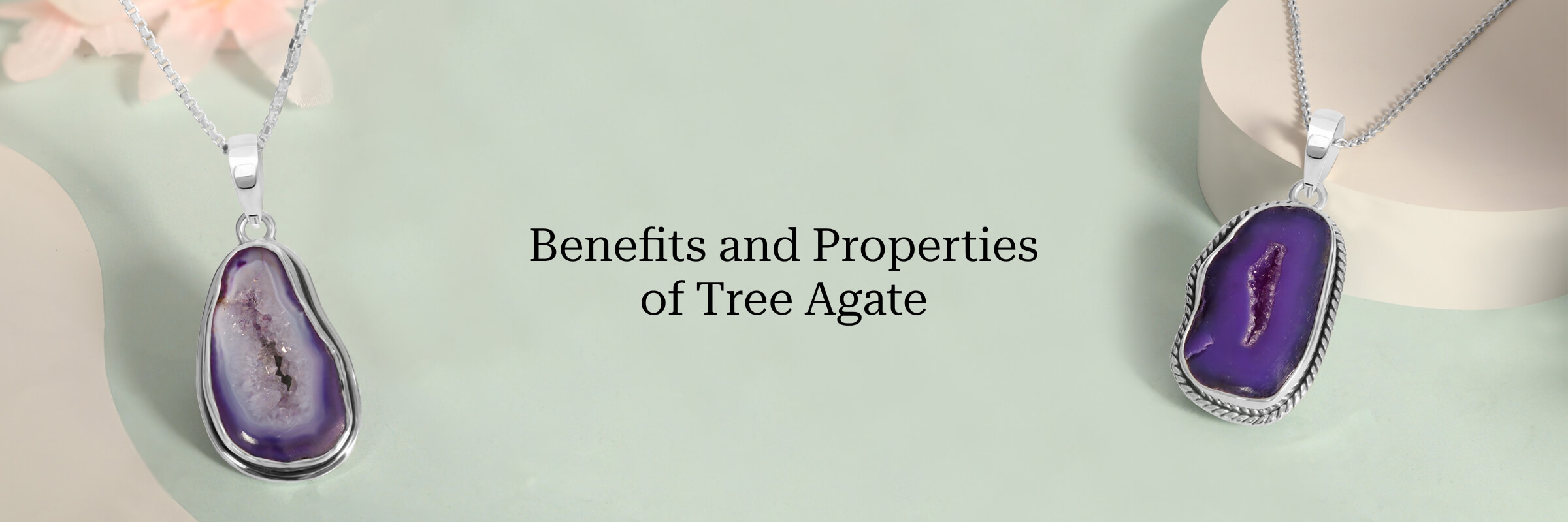 Properties and benefits of tree agate