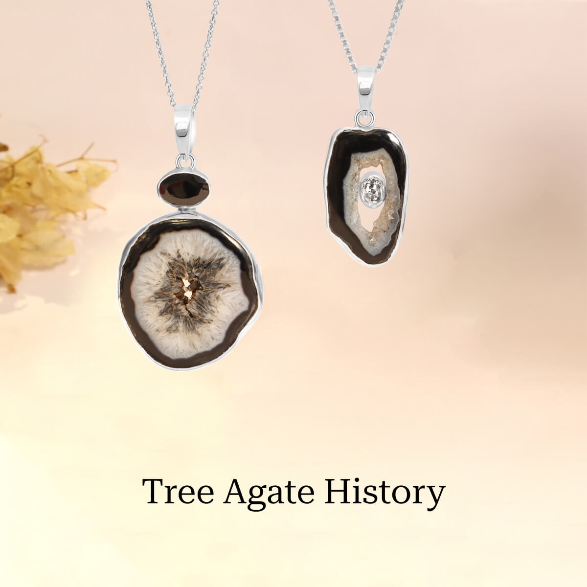 History of Tree Agate