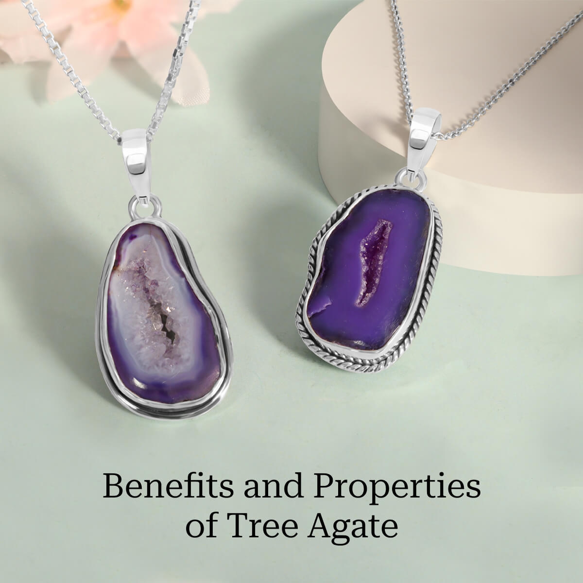 Properties and benefits of tree agate