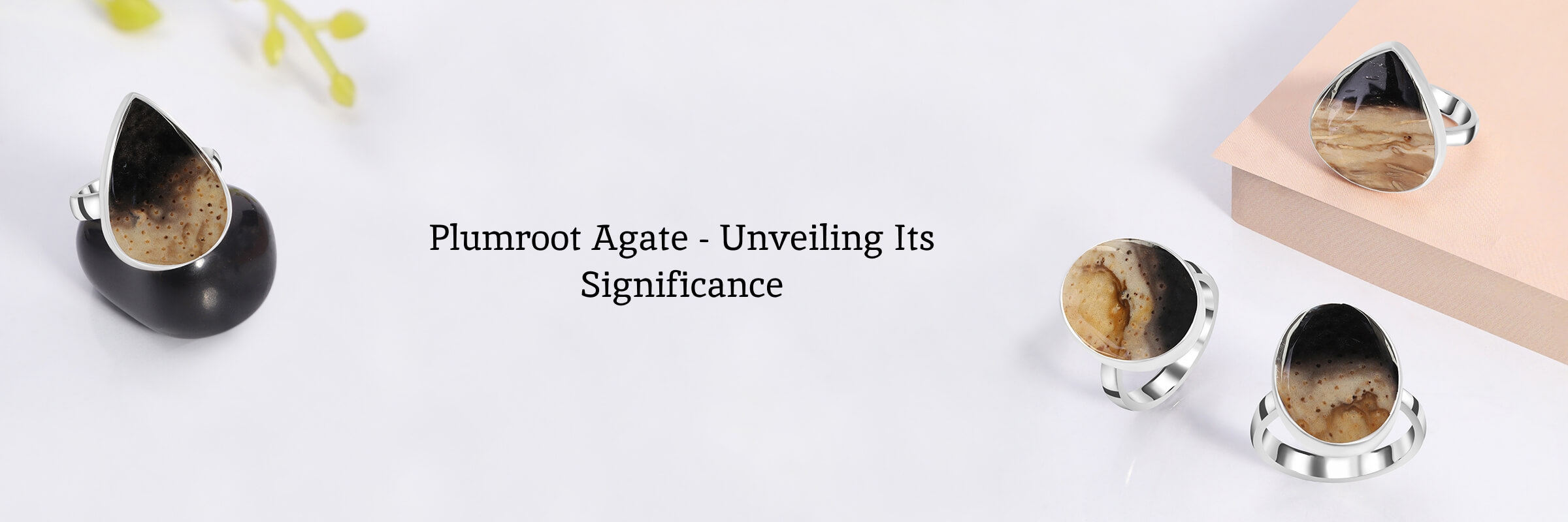 What Is The Value Of The Plumroot Agate Stone? What Is The Value Of The Plumroot Agate Stone?
