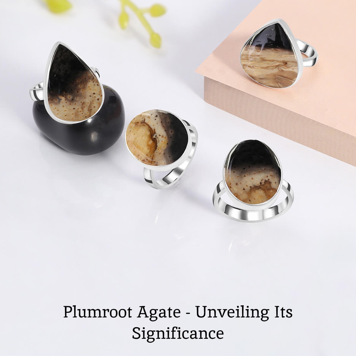 What Is The Value Of The Plumroot Agate Stone?