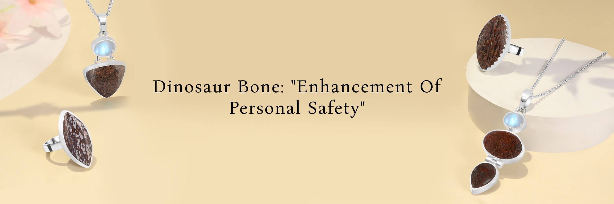 Dinosaur Bone: Benefits Dinosaur Bone Benefits