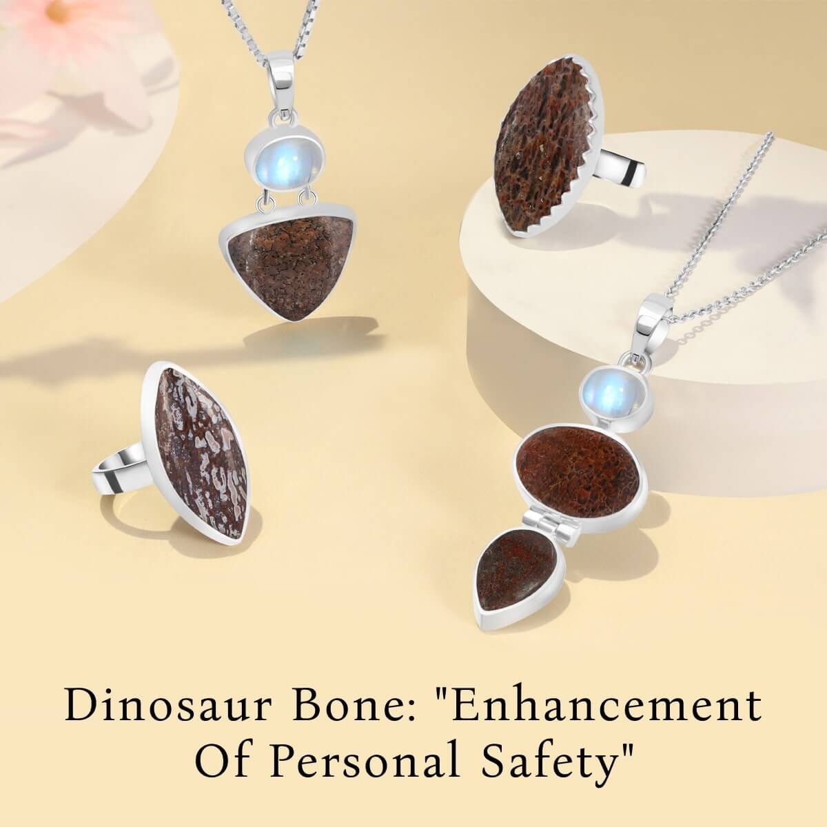 Dinosaur Bone: Benefits Dinosaur Bone Benefits