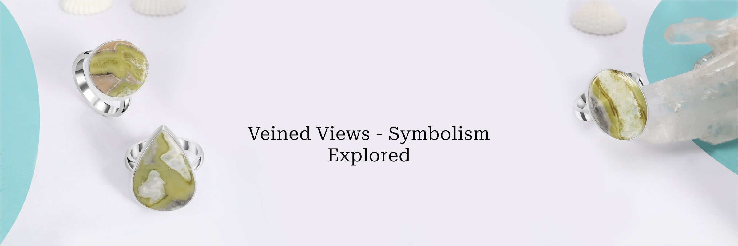 Meaning That Comes with Venous Views