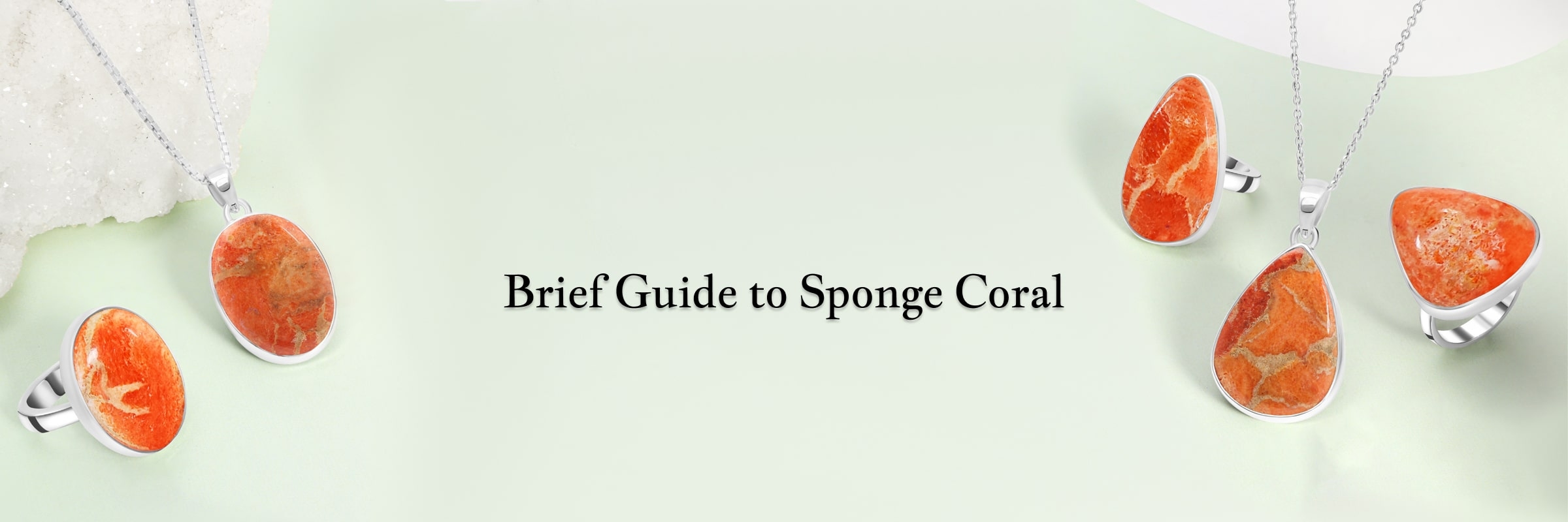 Sponge Coral