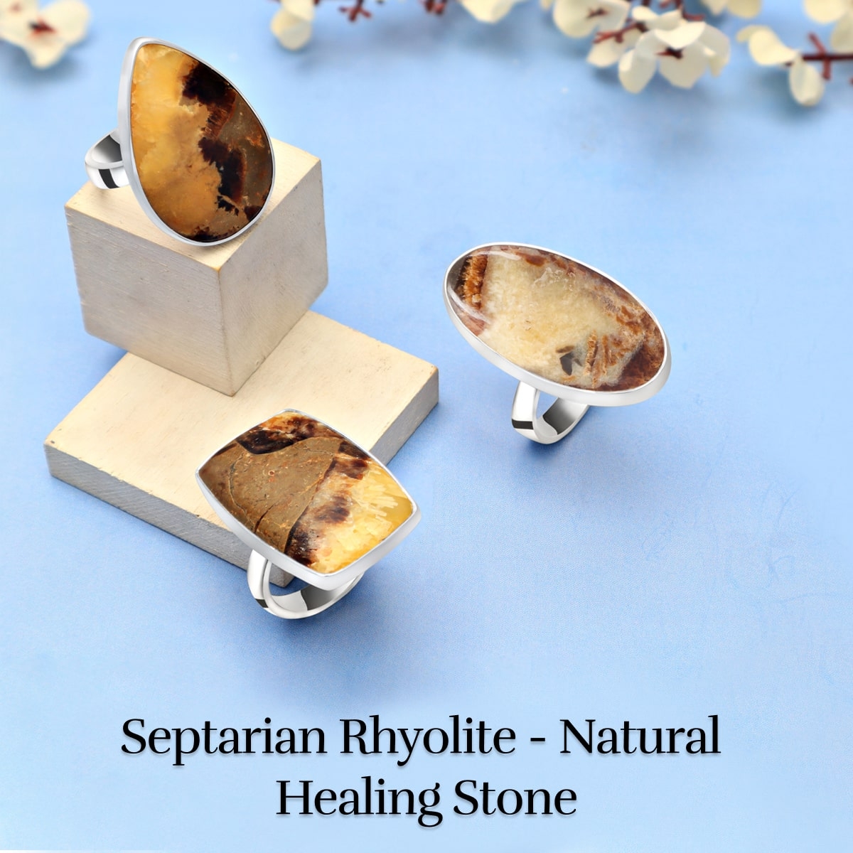 Healing Properties of Septarian Rhyolite