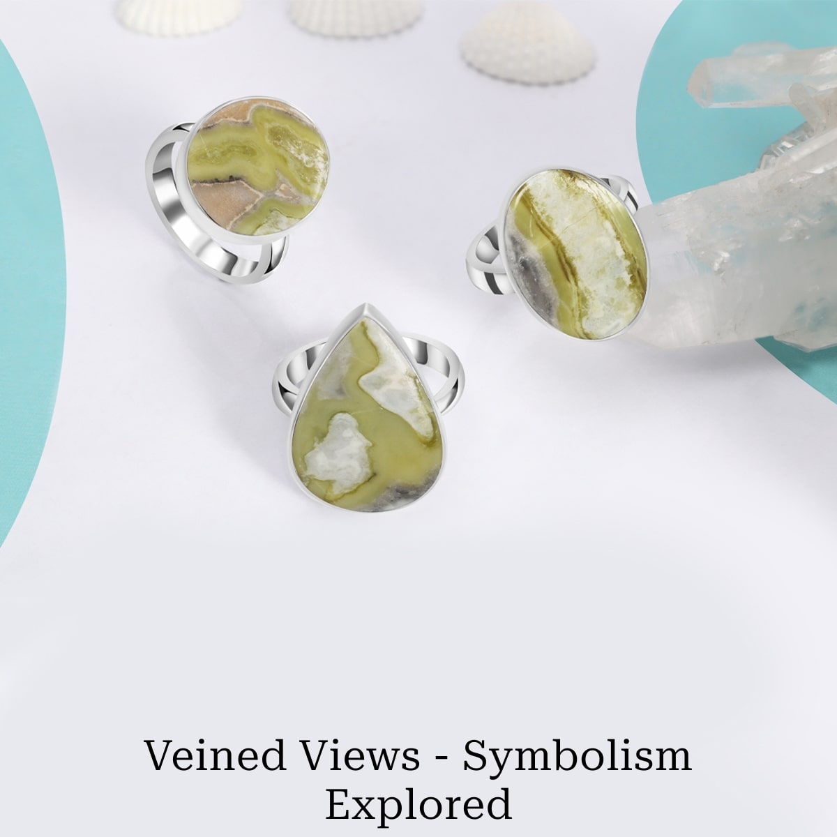 Meaning That Comes with Venous Views