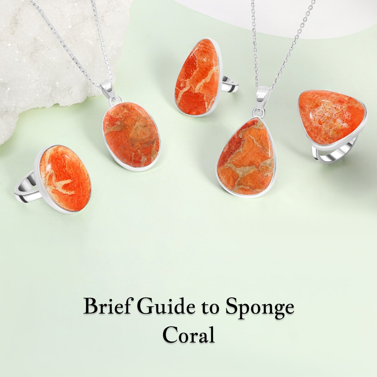 A Brief Overview of Sponge Coral