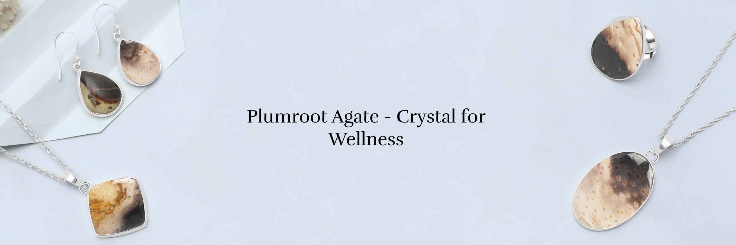Healing Properties of Plumroot Agate Crystal