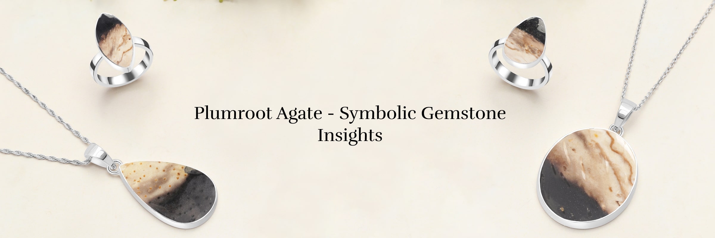 The Symbolism of Plumroot Agate Gem