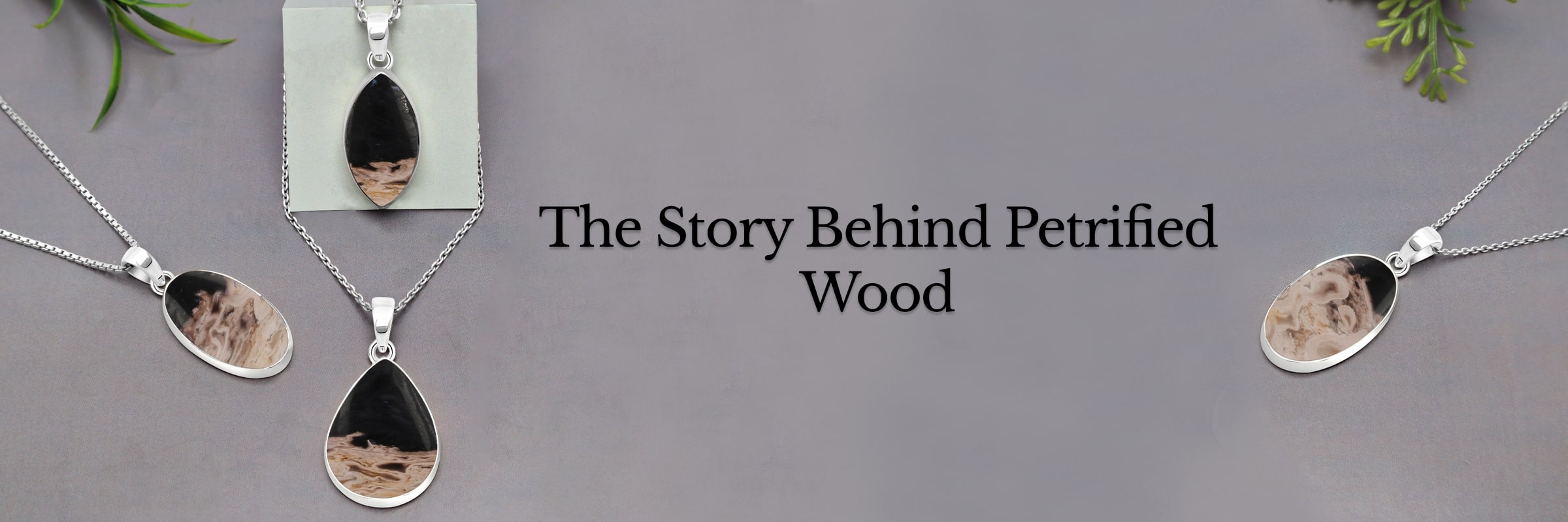 Petrified Wood Meaning, History, Healing Properties, Uses and Cleansing