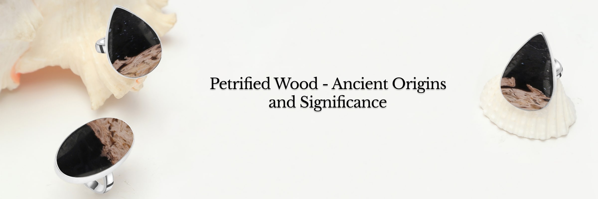 History of Petrified Wood Stone