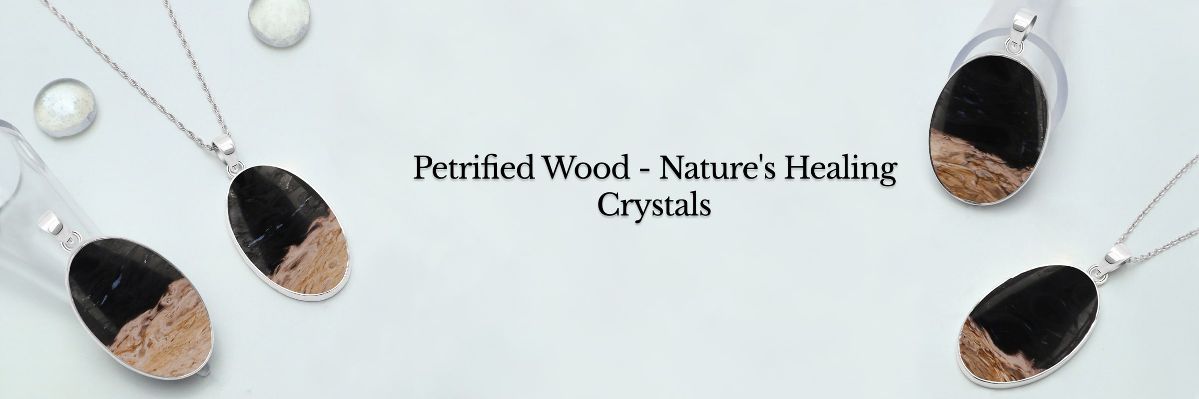Healing Properties of Petrified Wood Crystal