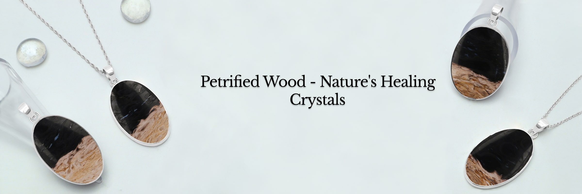 Healing Properties of Petrified Wood Crystal Healing Properties of Petrified Wood Crystal