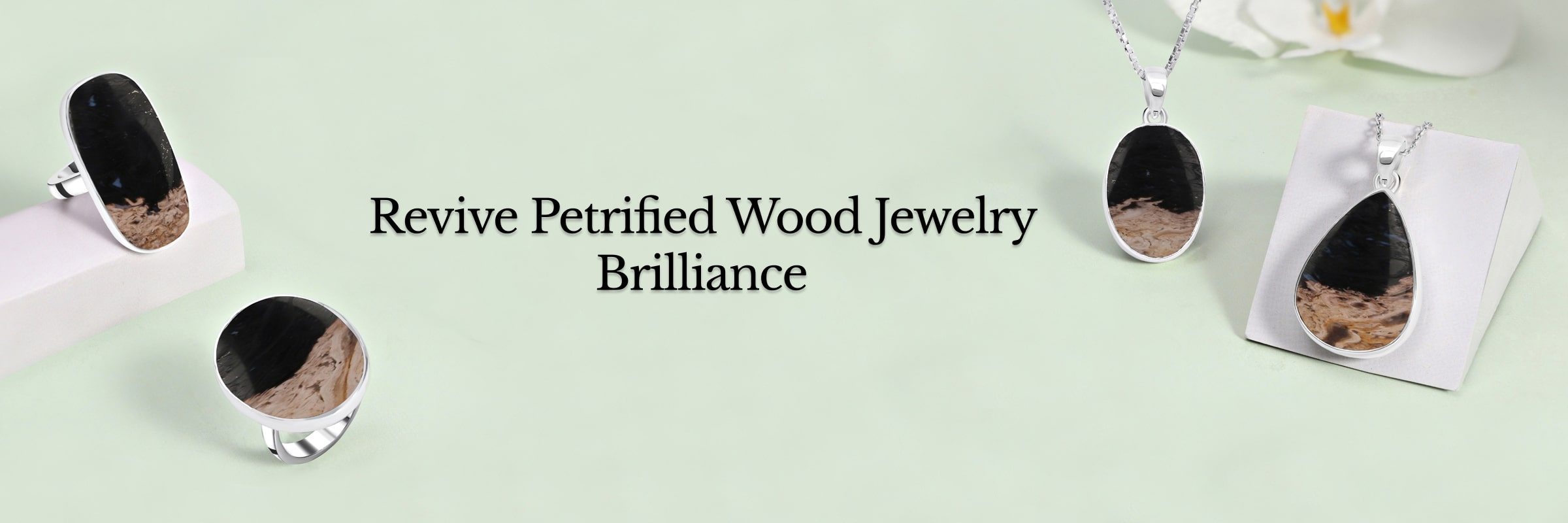 How to Cleanse Your Petrified Wood Jewelry