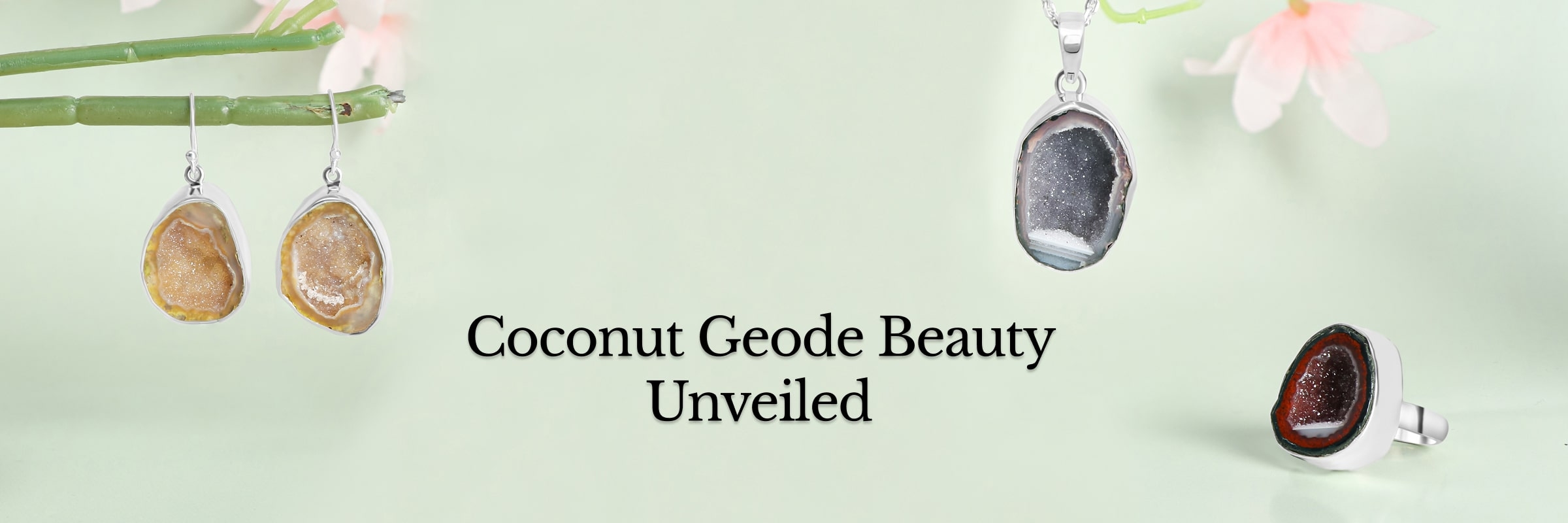 Coconut Geode