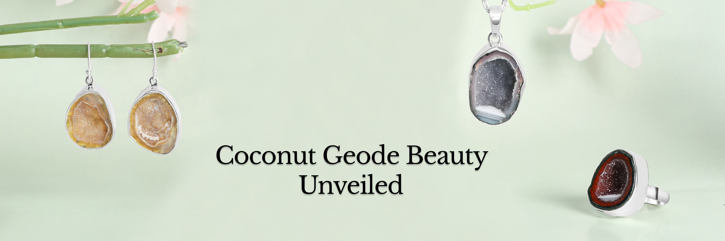 Coconut Geode Charms: Exploring Nature's Cracked Coconut Coconut Geode