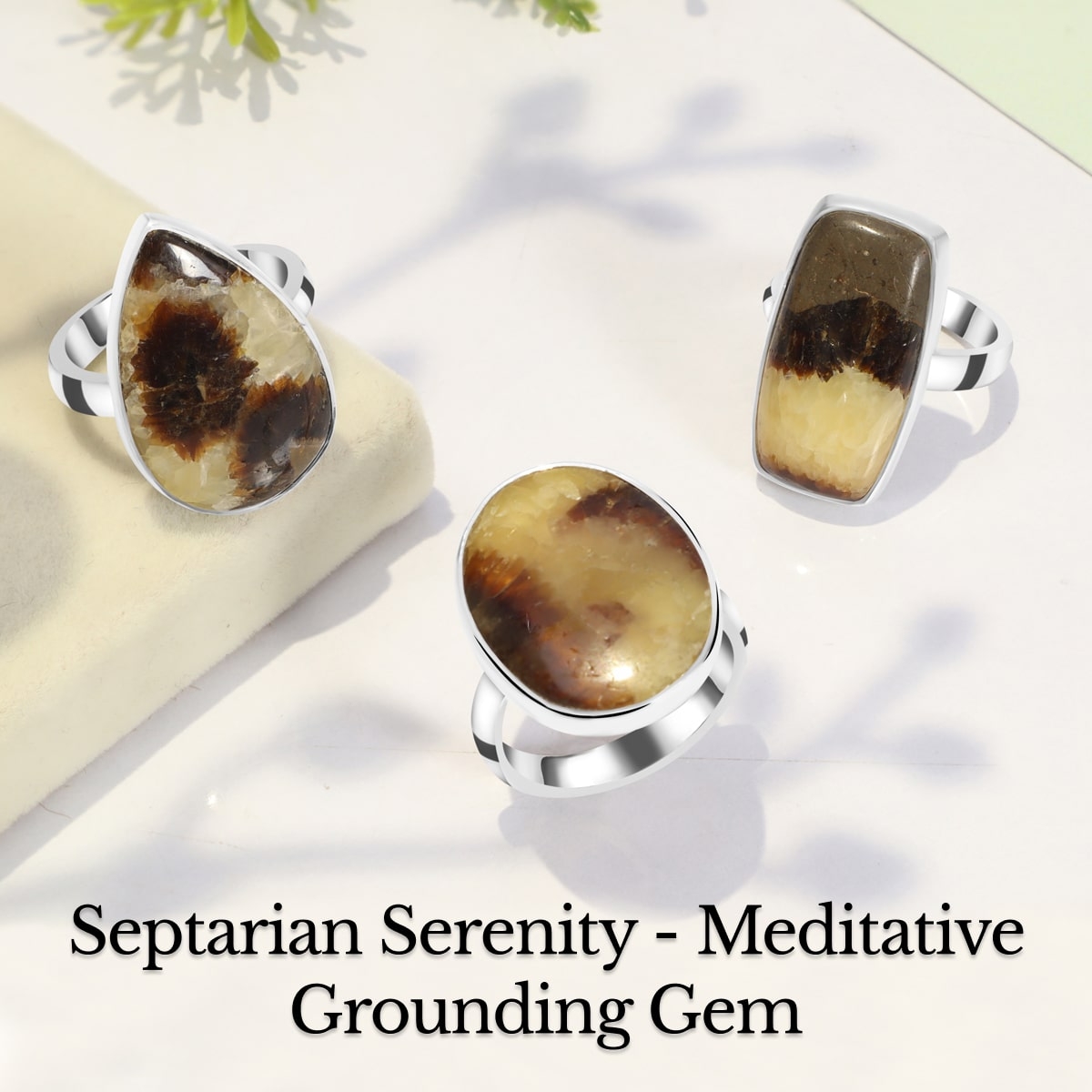 Septarian Rhyolite : Meditation and Grounding