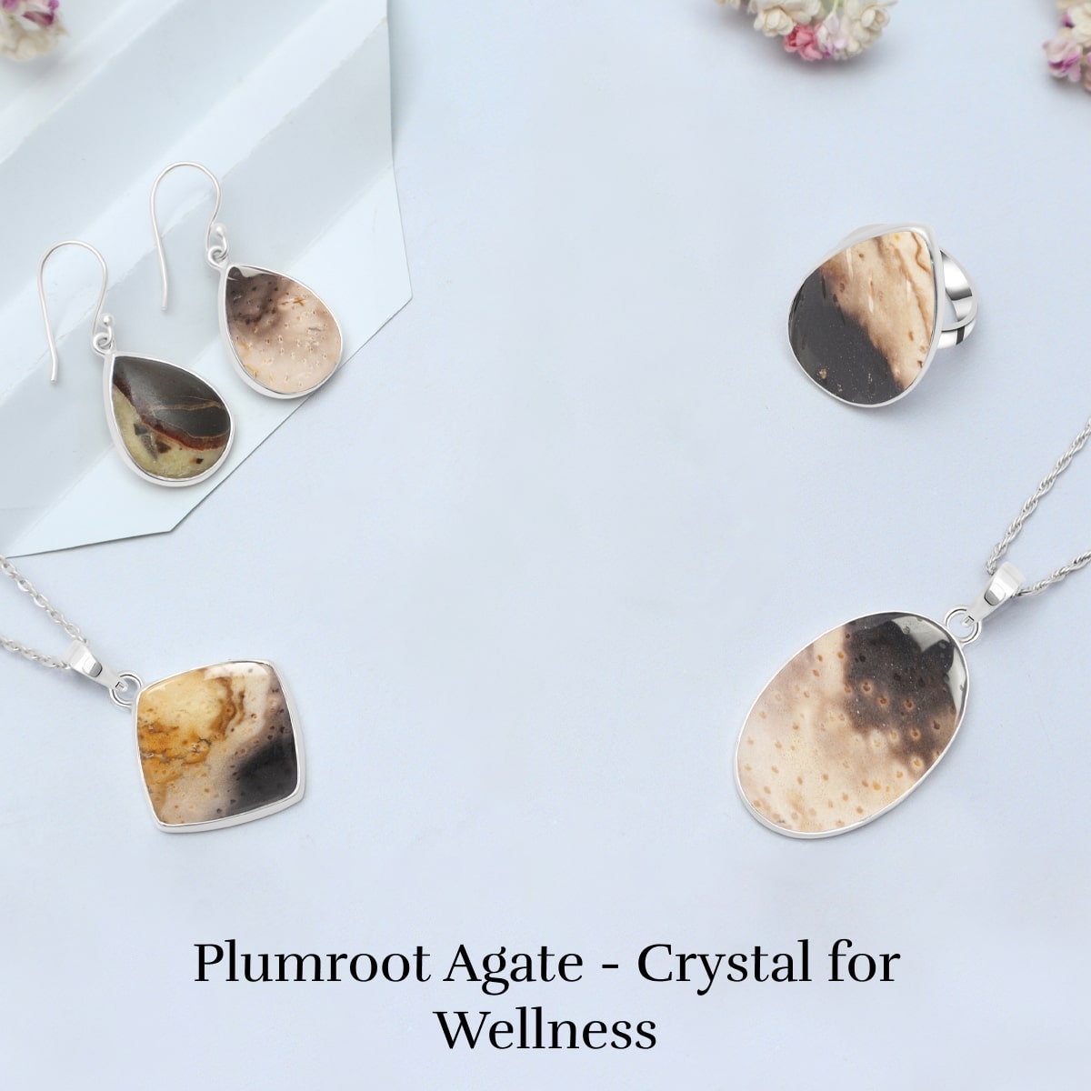 Healing Properties of Plumroot Agate Crystal