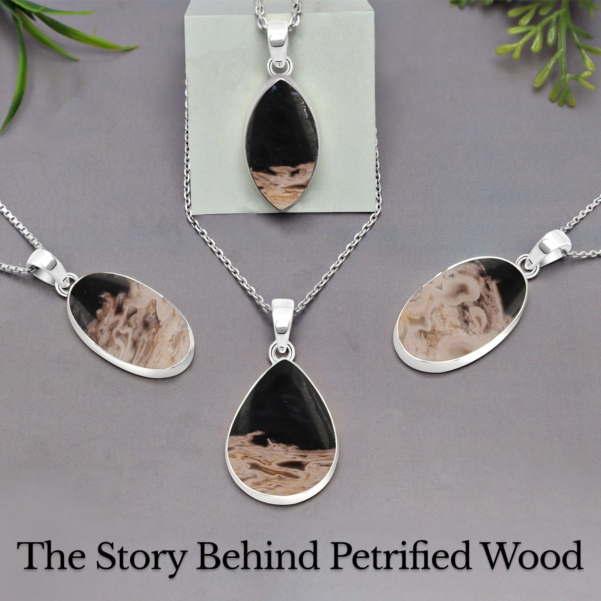 Petrified Wood Meaning, History, Healing Properties, Uses and Cleansing
