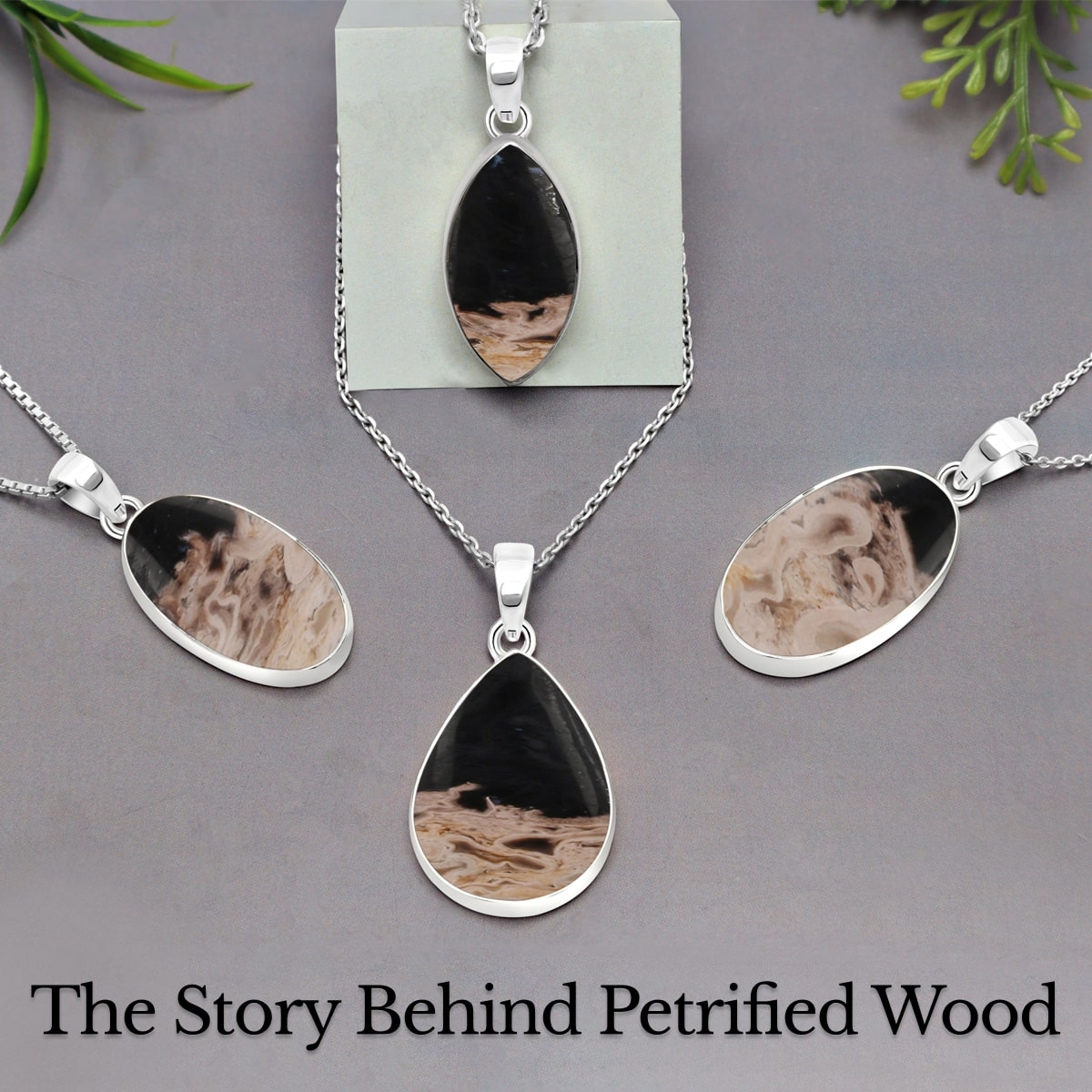 Petrified Wood Meaning, History, Healing Properties, Uses and Cleansing Petrified Wood Meaning, History, Healing Properties, Uses and Cleansing