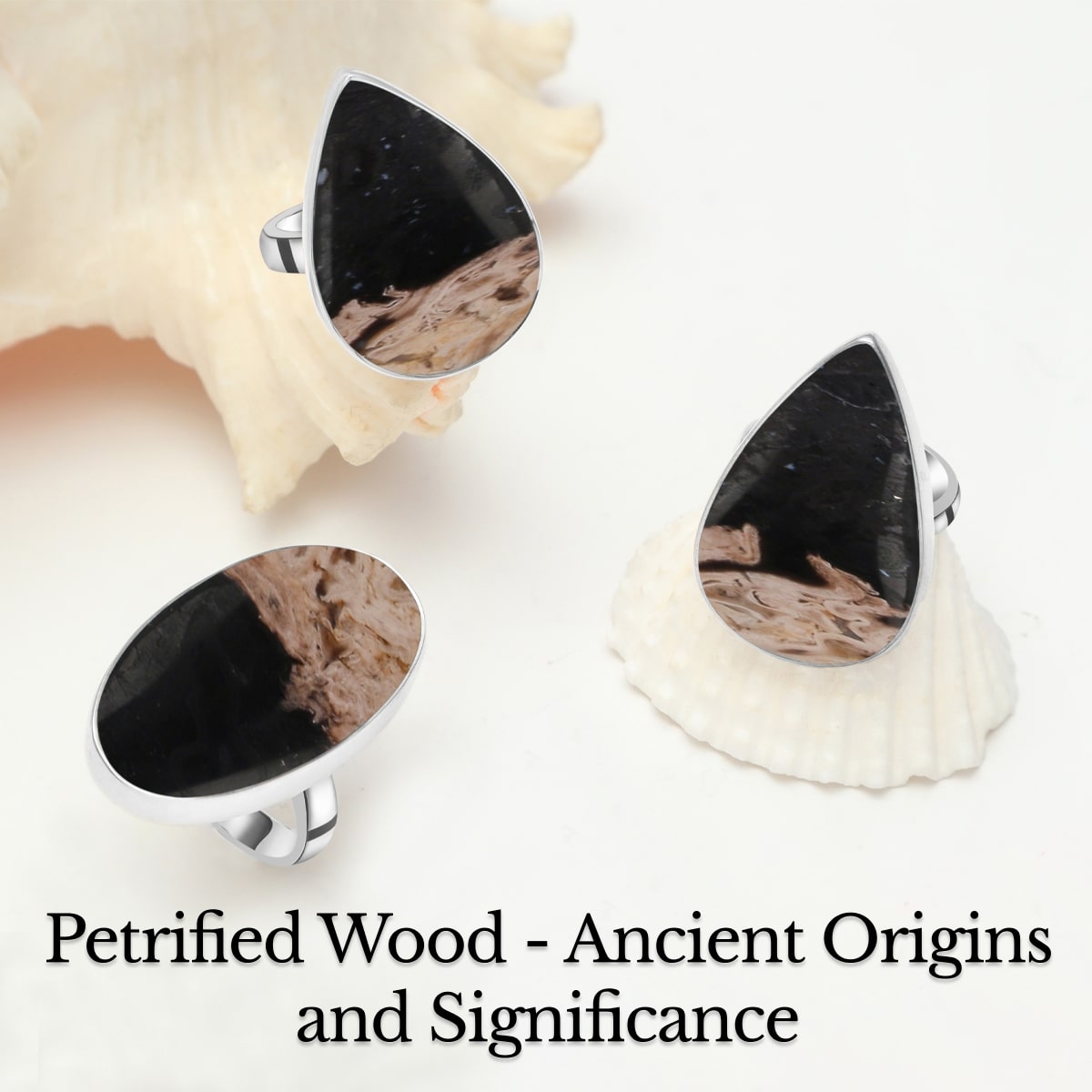 History of Petrified Wood Stone History of Petrified Wood Stone