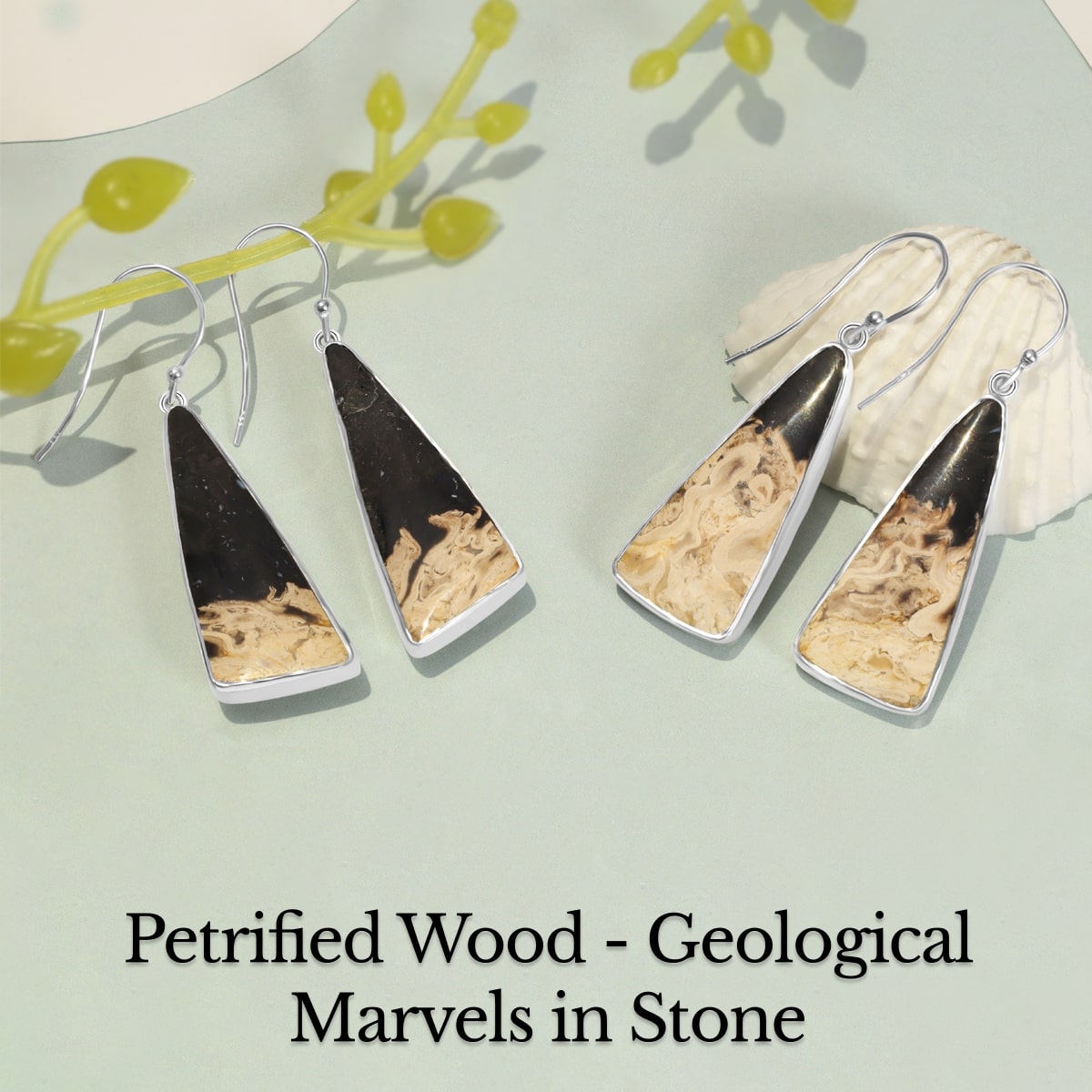 Physical Properties of Petrified Wood Gem