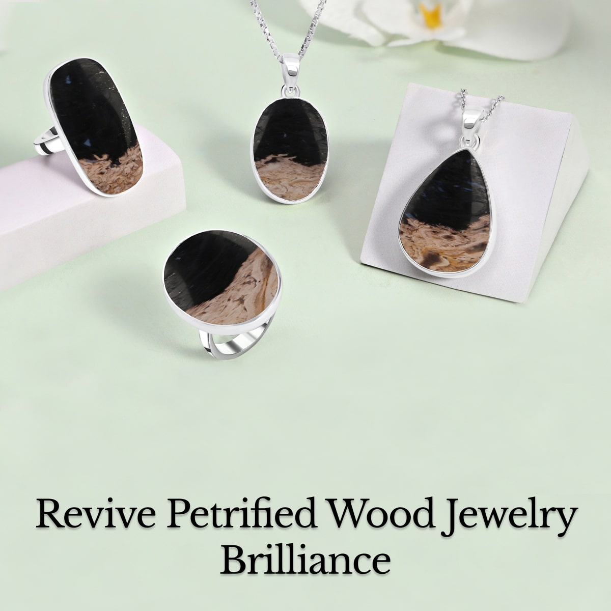 How to Cleanse Your Petrified Wood Jewelry How to Cleanse Your Petrified Wood Jewelry