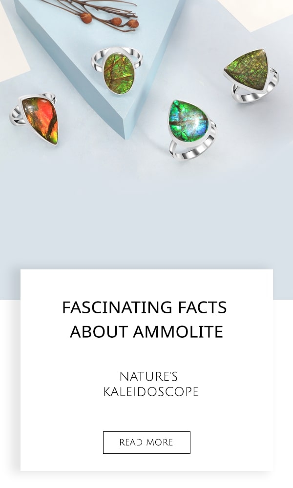 ammolite facts