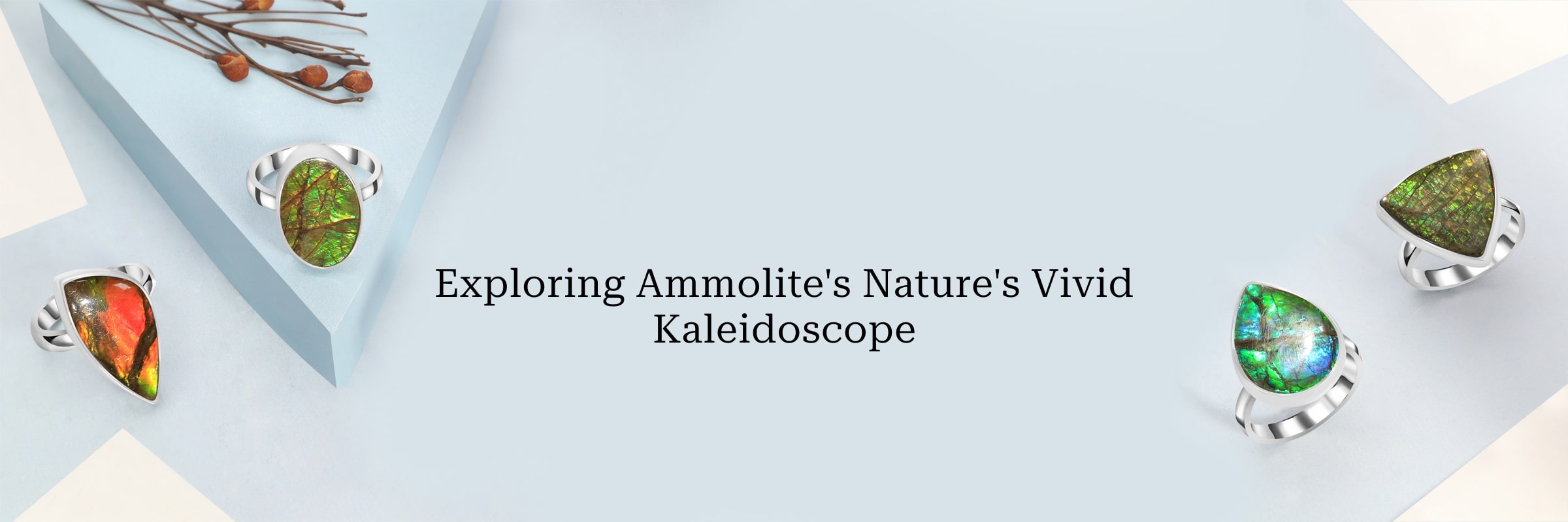 Fascinating Facts About Ammolite: Nature's Kaleidoscope ammolite facts