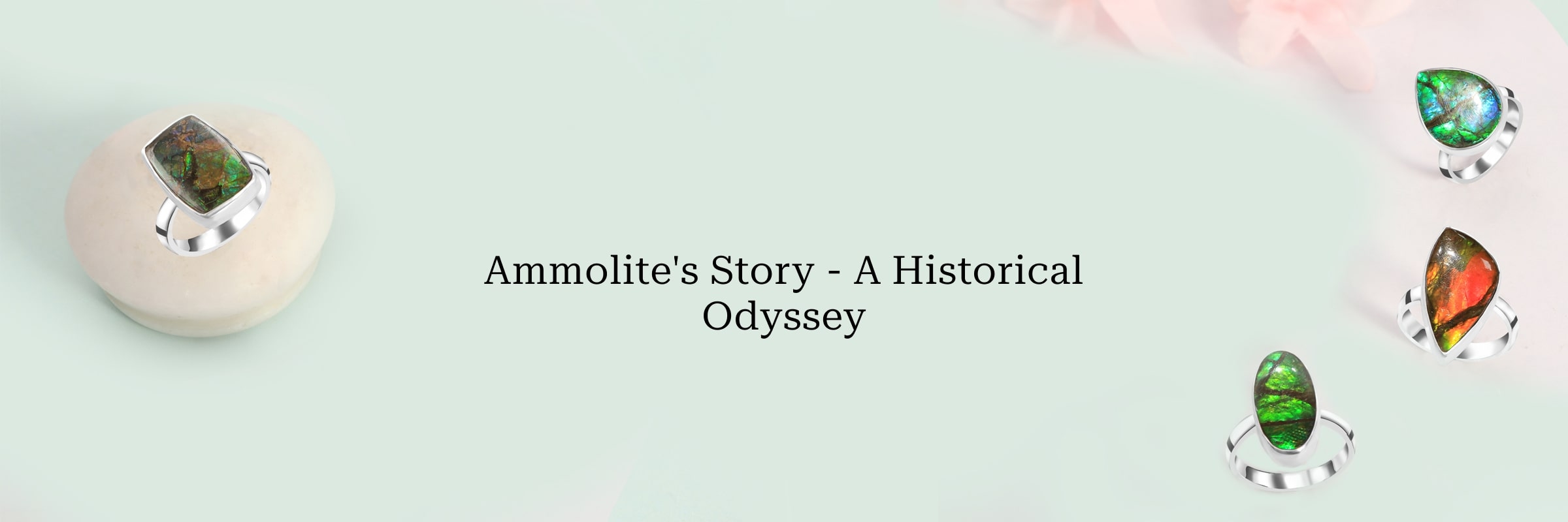 History of Ammolite History of Ammolite