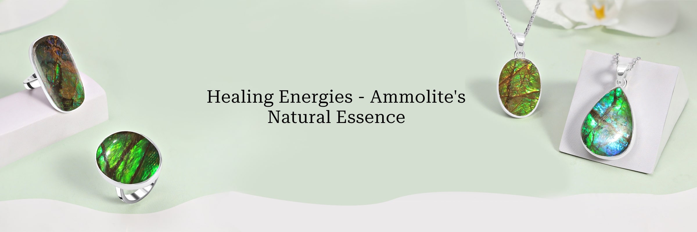 Healing Properties Healing Properties of Ammolite