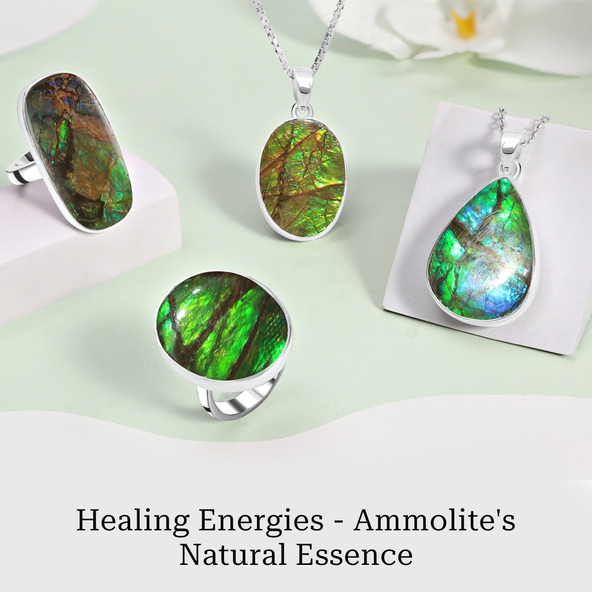 Healing Properties Ammolite Healing Properties