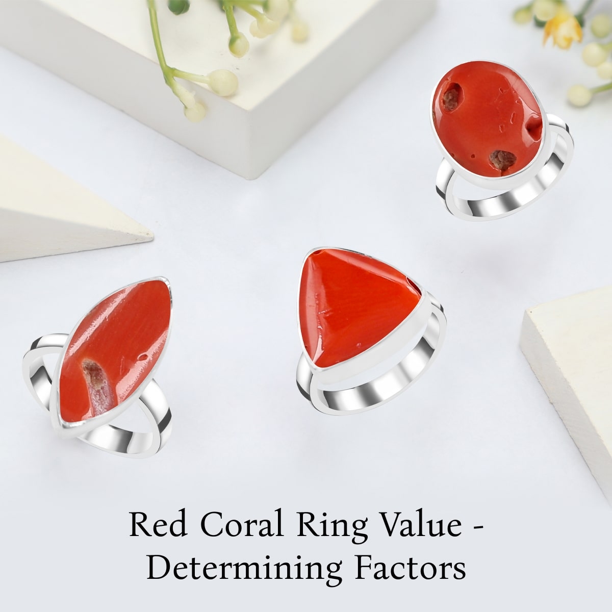 Factors Determining Red Coral’s Value Set in a Red Coral Ring Factors Determining Red Coral’s Value Set in a Red Coral Ring