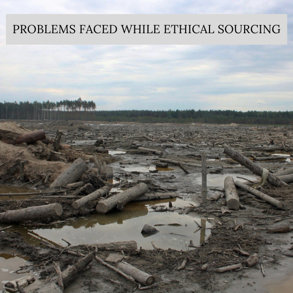 Problems Faced While Ethical Sourcing Problems Faced While Ethical Sourcing