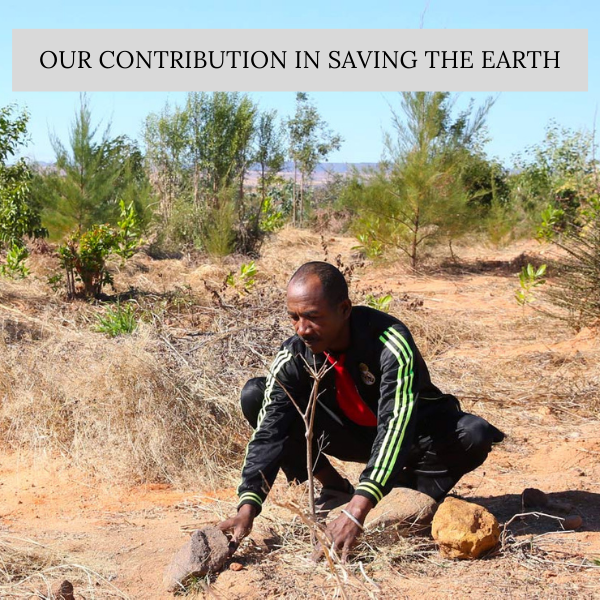 Our Contribution towards Saving the Earth Our Contribution towards Saving the Earth