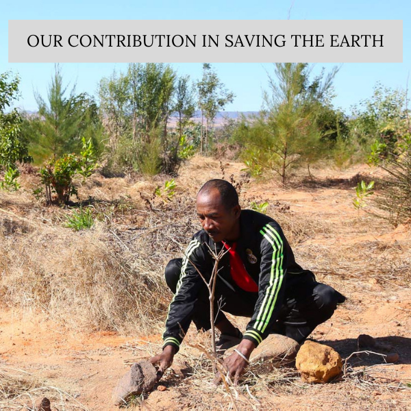 Our Contribution towards Saving the Earth