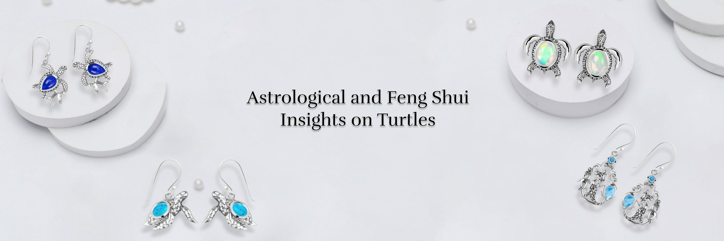 Turtle in Astrology & Feng Shui