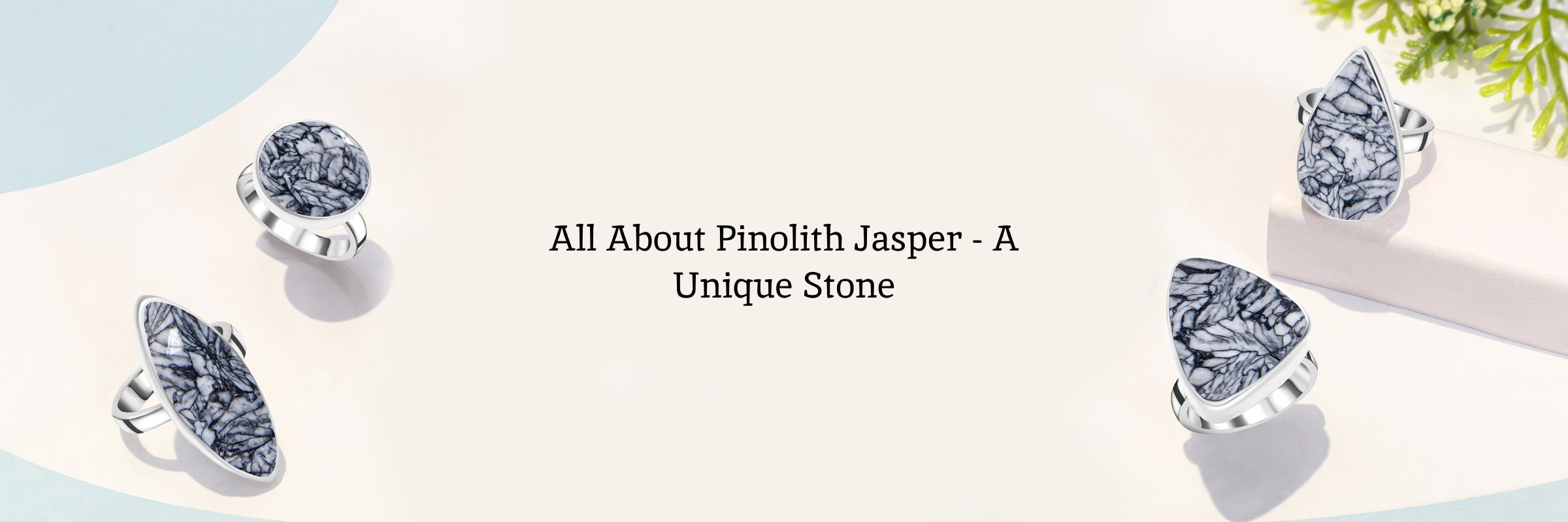 What Is Pinolith Jasper? What Is Pinolith Jasper?