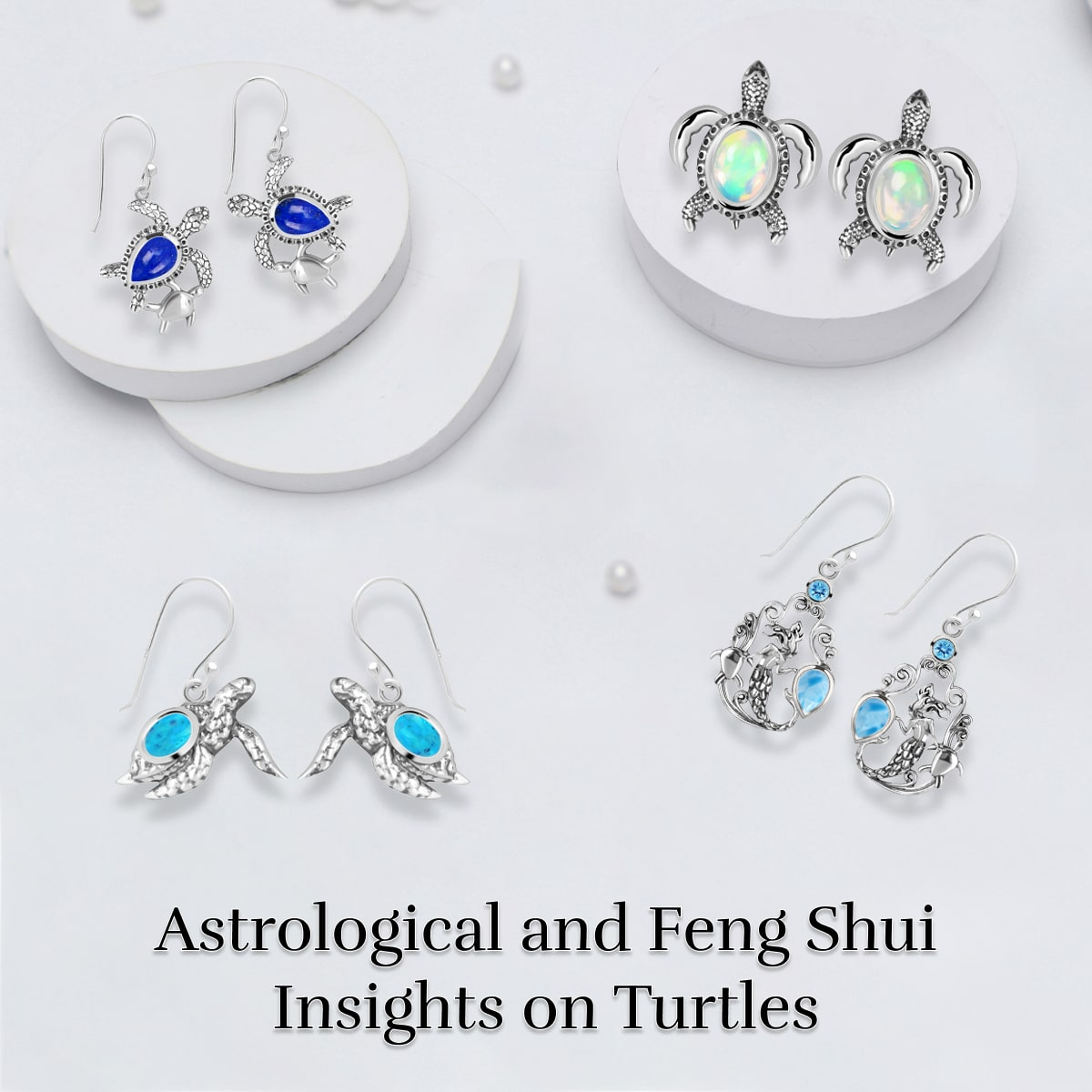 Turtle in Astrology & Feng Shui