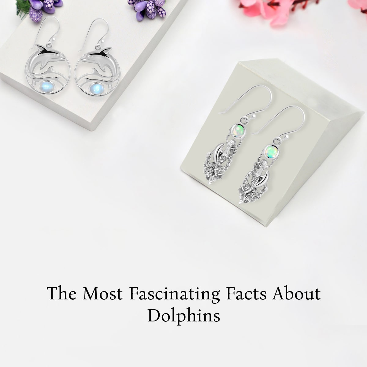 Fun and Fascinating Facts About Dolphins