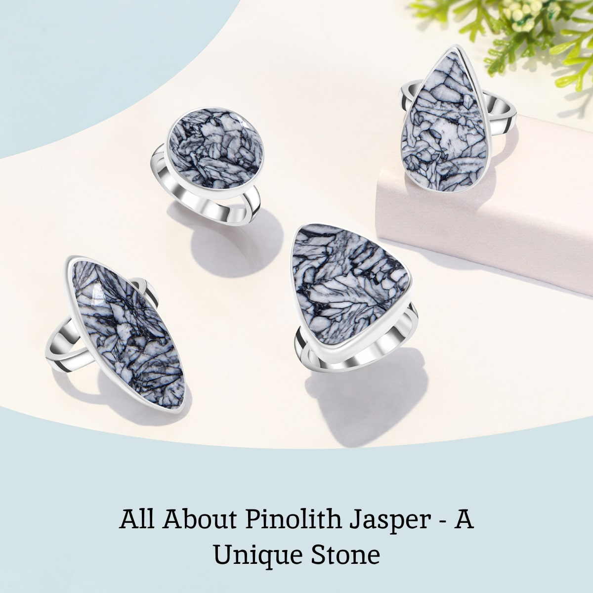 What Is Pinolith Jasper? What Is Pinolith Jasper?
