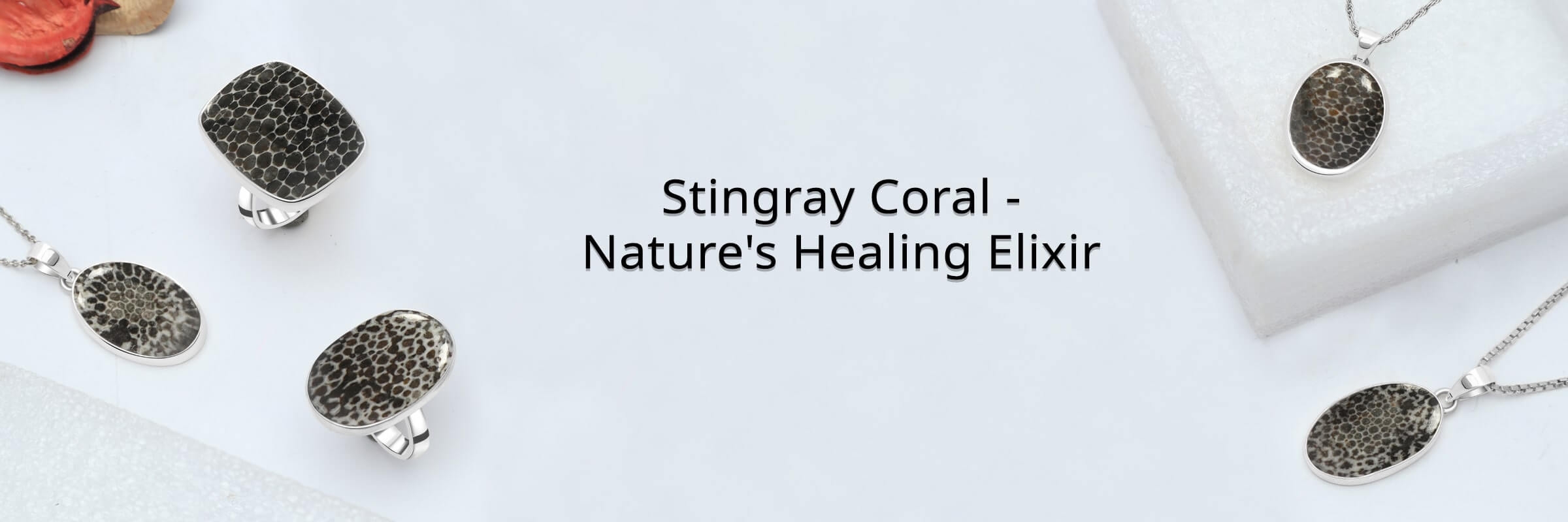 Stingray Coral Healing Properties