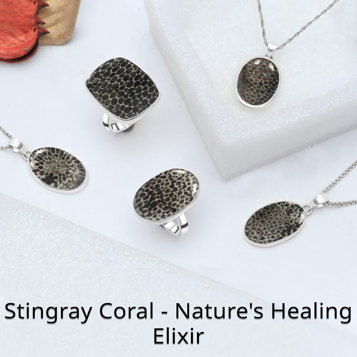 Stingray Coral Gemstone Healing properties