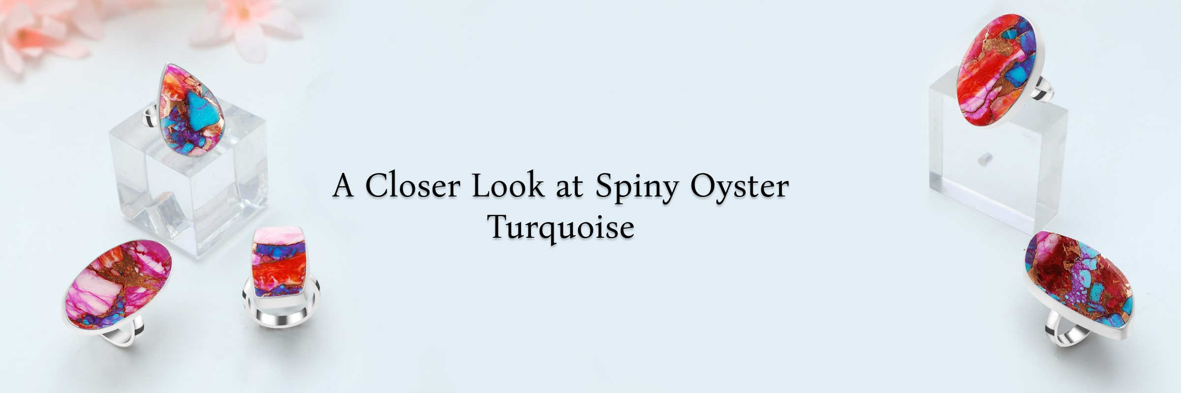 What is Spiny Oyster Turquoise What is Spiny Oyster Turquoise