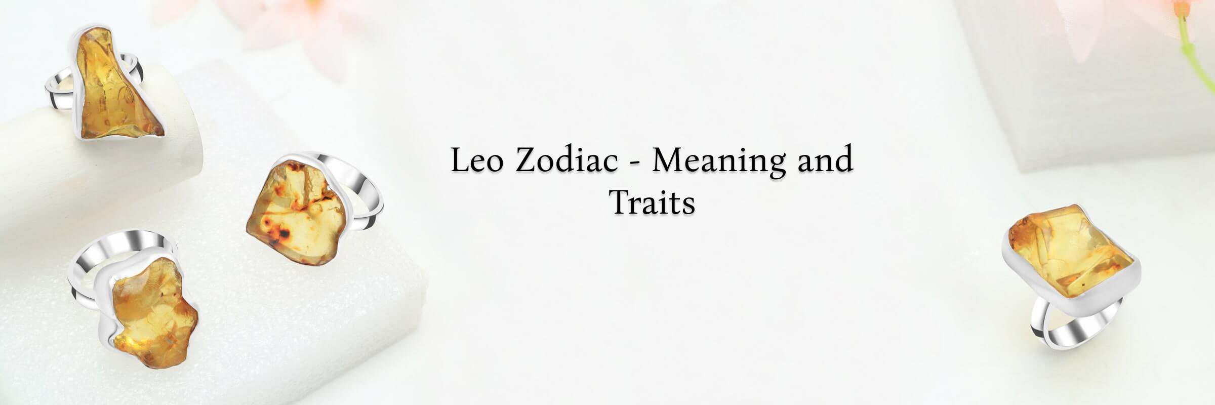 Meaning of Leo Zodiac Sign Meaning of Leo Zodiac Sign