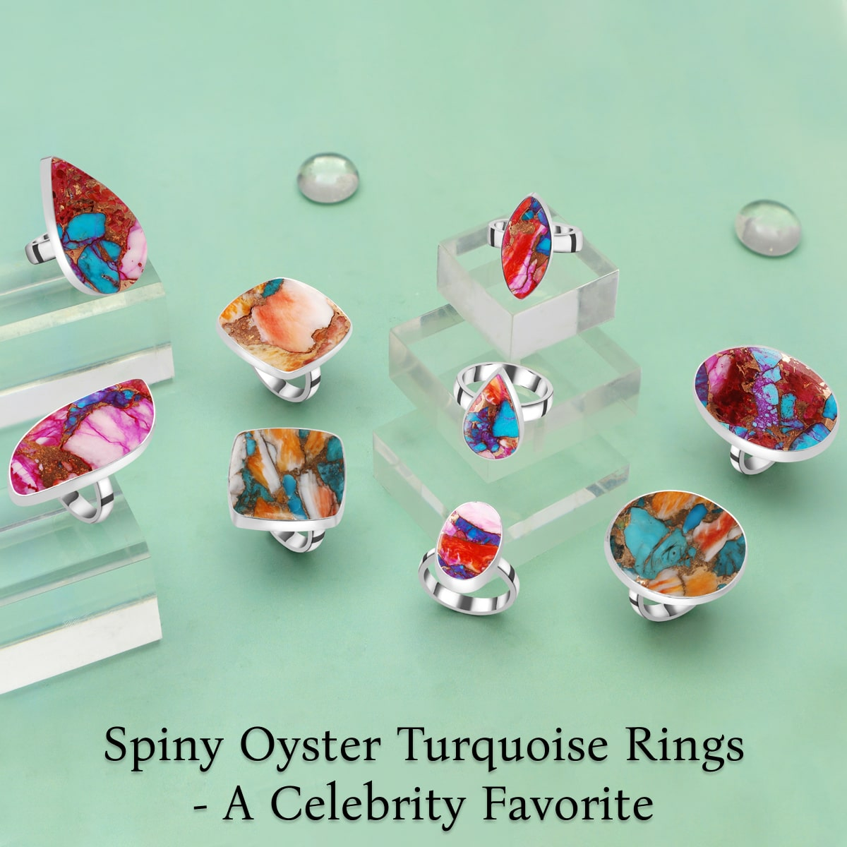 Celebrity Influence and the Popularity of Spiny Oyster Turquoise Rings Spiny Oyster Turquoise Rings