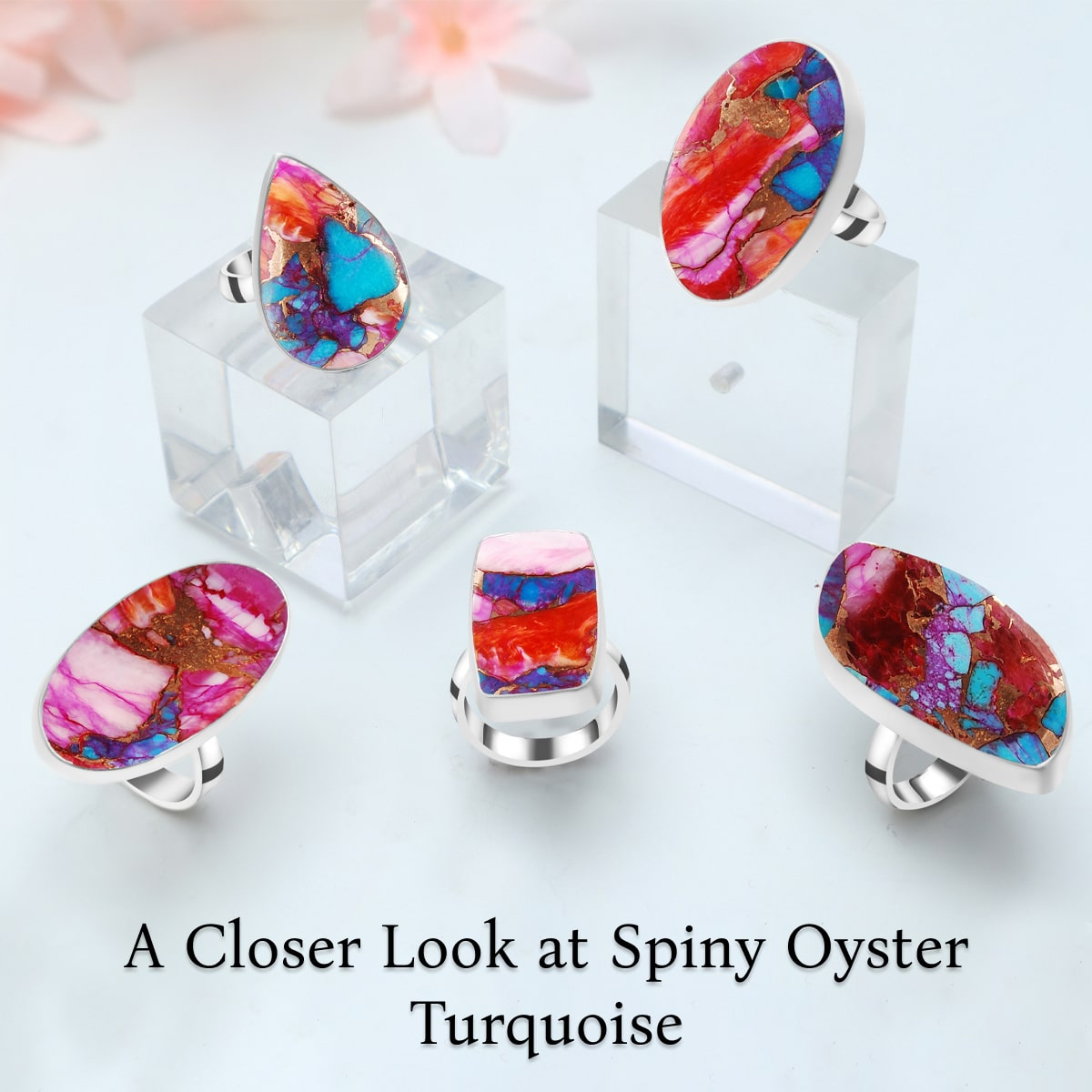 What is Spiny Oyster Turquoise What is Spiny Oyster Turquoise