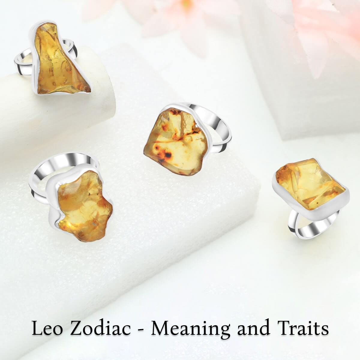 Meaning of Leo Zodiac Sign Meaning of Leo Zodiac Sign
