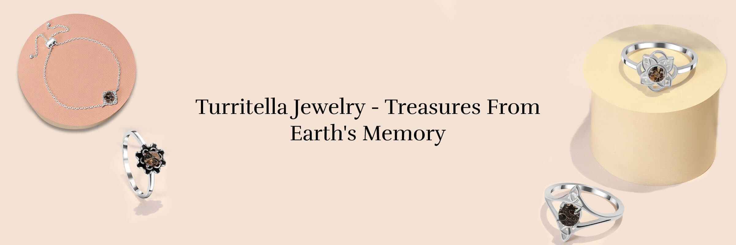 Turritella Jewelry